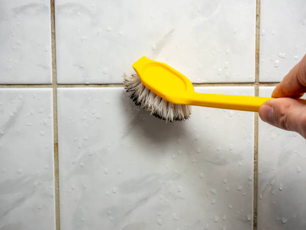 Best Affordable Mold Removal  in Huntsville, AL