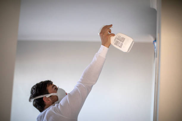 Best Commercial Mold Removal  in Huntsville, AL