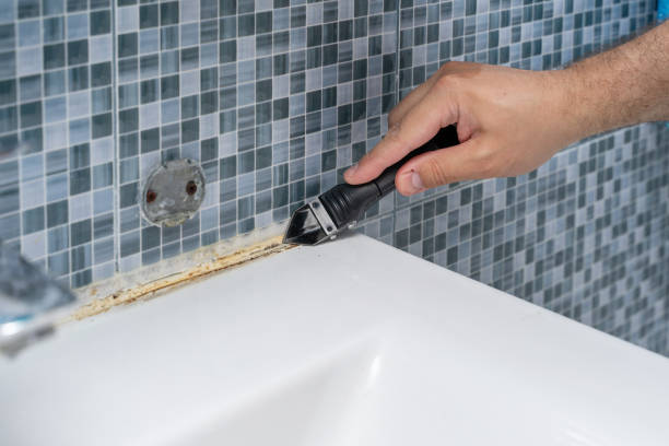 Huntsville, AL Mold Removal Company