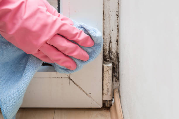 Crawl Space Mold Removal in Huntsville, AL